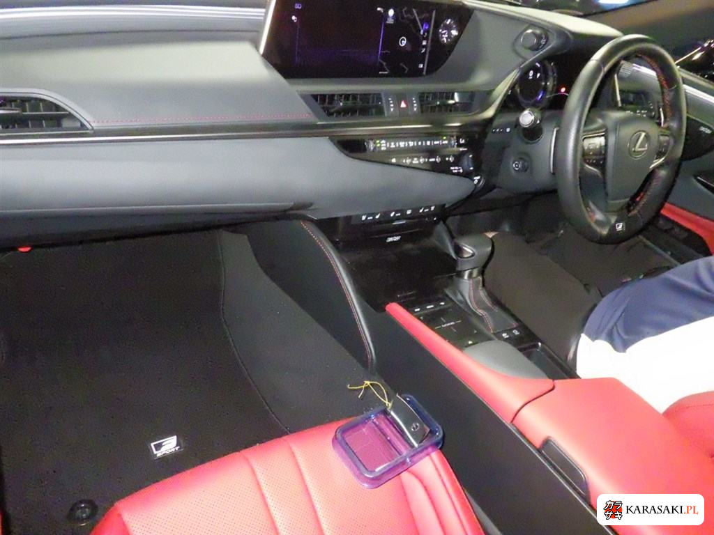 2019 Lexus Es ES300H F Sport 5
