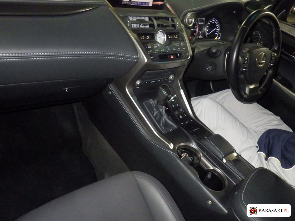 Lexus NX 2019 z aukcji japońskiej
