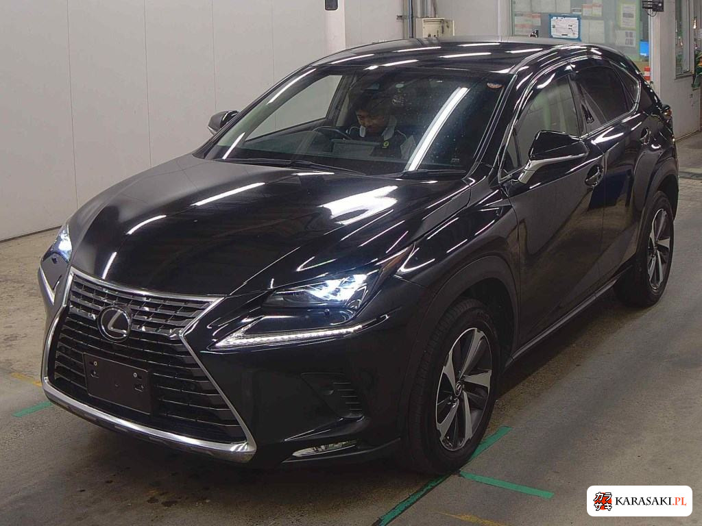 Lexus NX 2019 z aukcji japońskiej