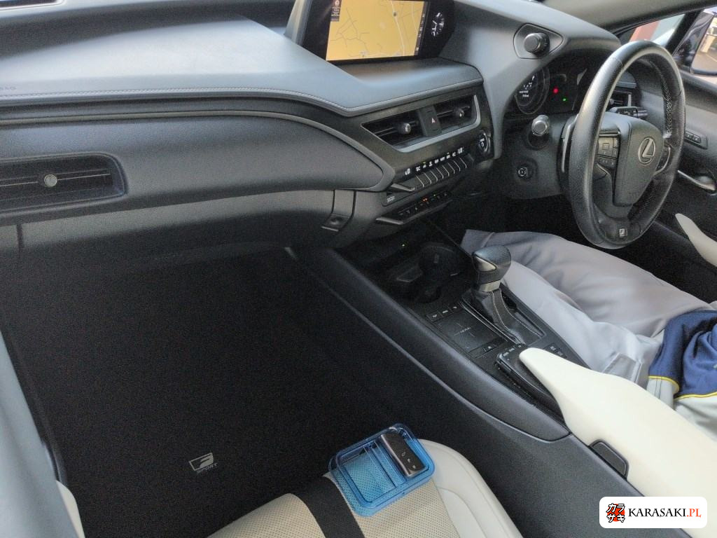 Lexus Ux 2019 z aukcji japońskiej