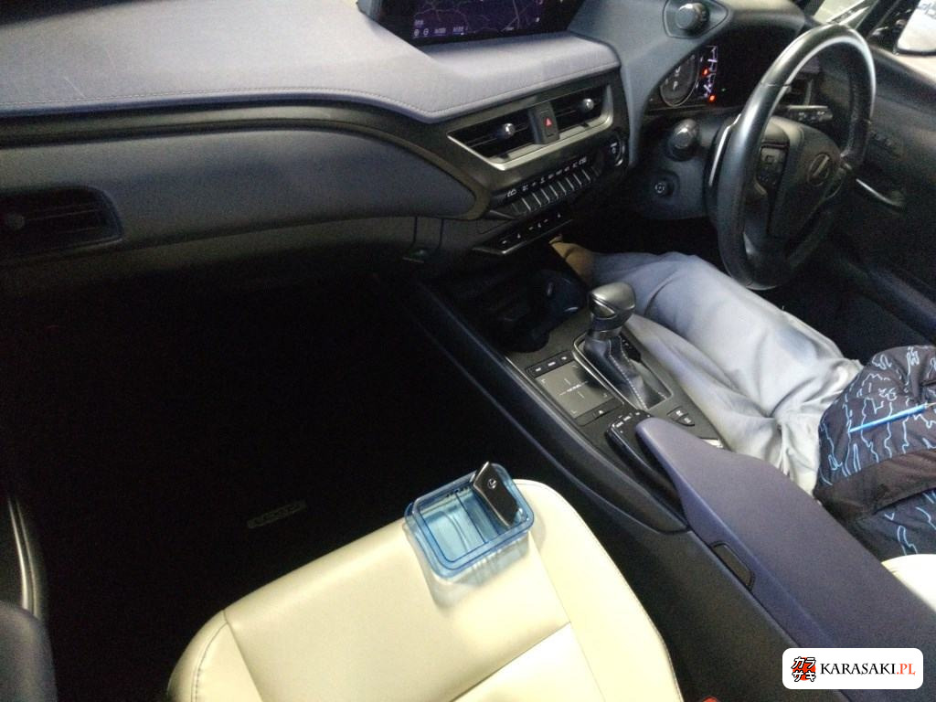Lexus Ux 2020 z aukcji japońskiej