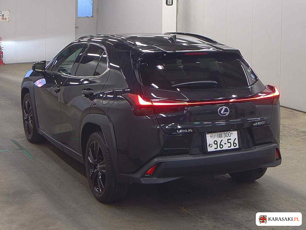 Lexus Ux 2020 z aukcji japońskiej