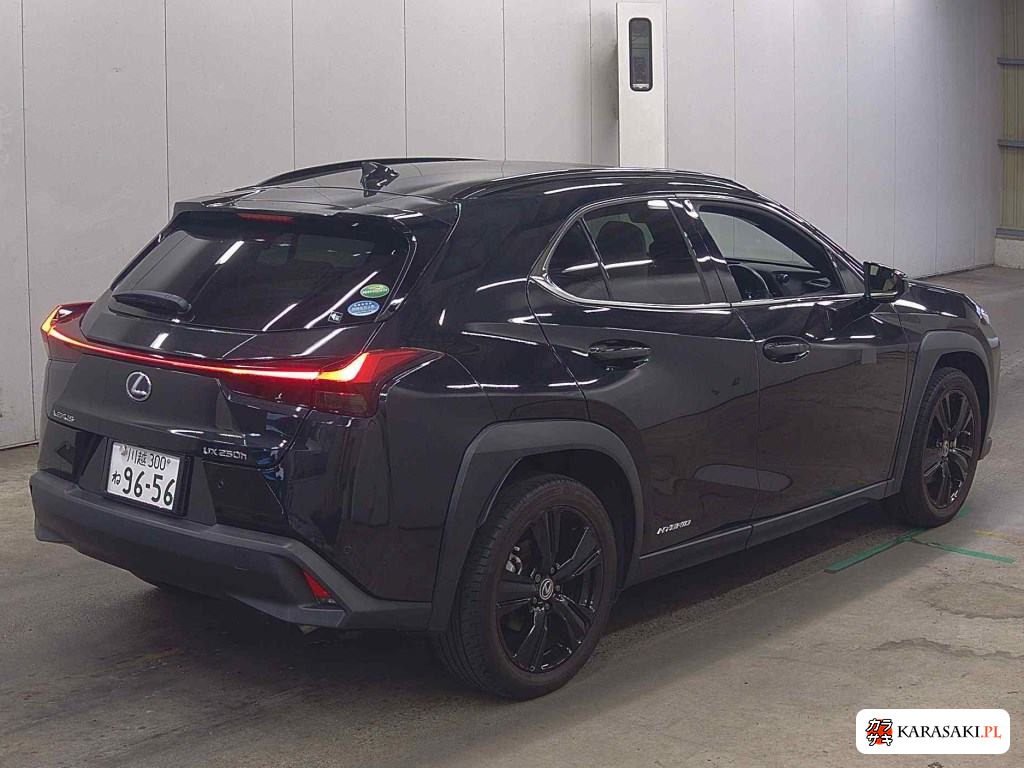 Lexus Ux 2020 z aukcji japońskiej