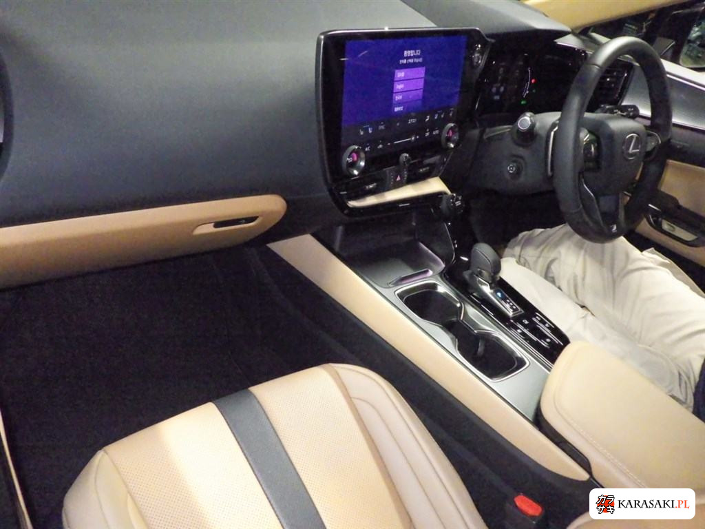 Lexus NX 2025 з японського аукціону