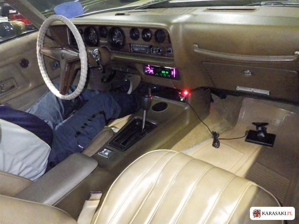 1977 Pontiac Firebird CP 5