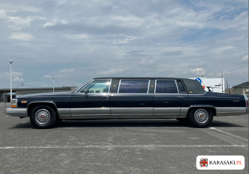 1991 Cadillac Fleetwood 4D Brougham Elegance 9