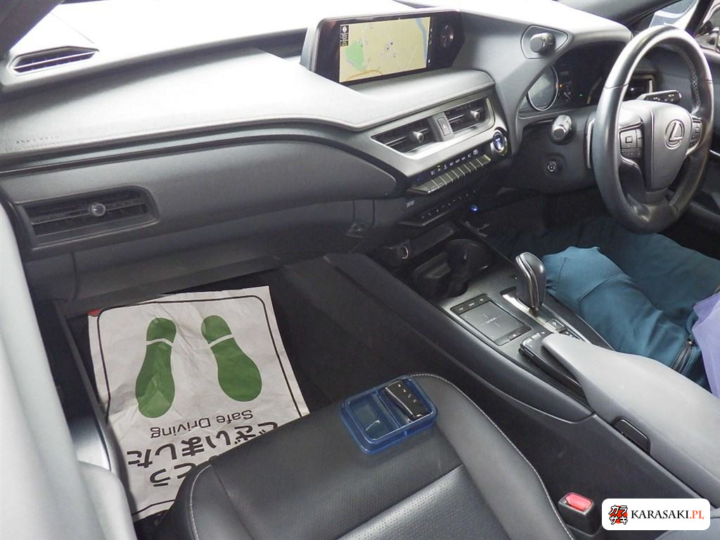 2021 Lexus UX300E Version L 5