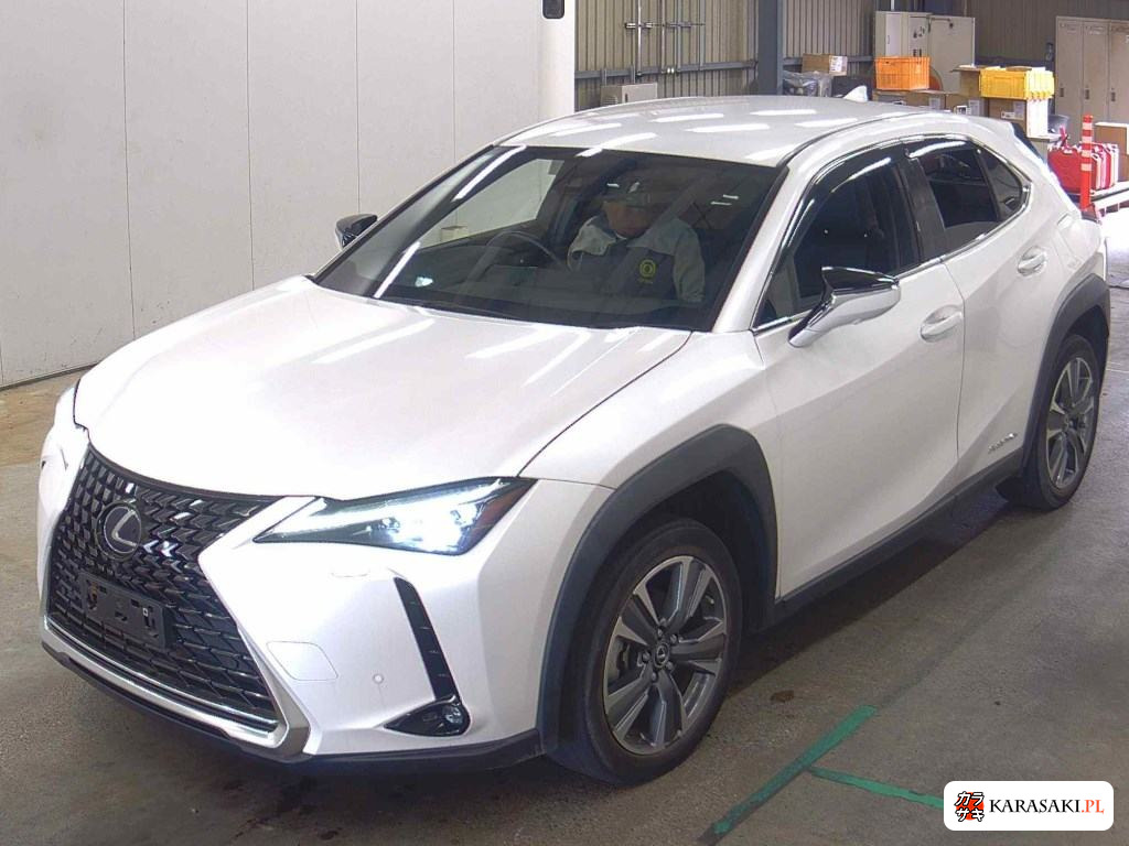 2021 Lexus UX300E Version L 3