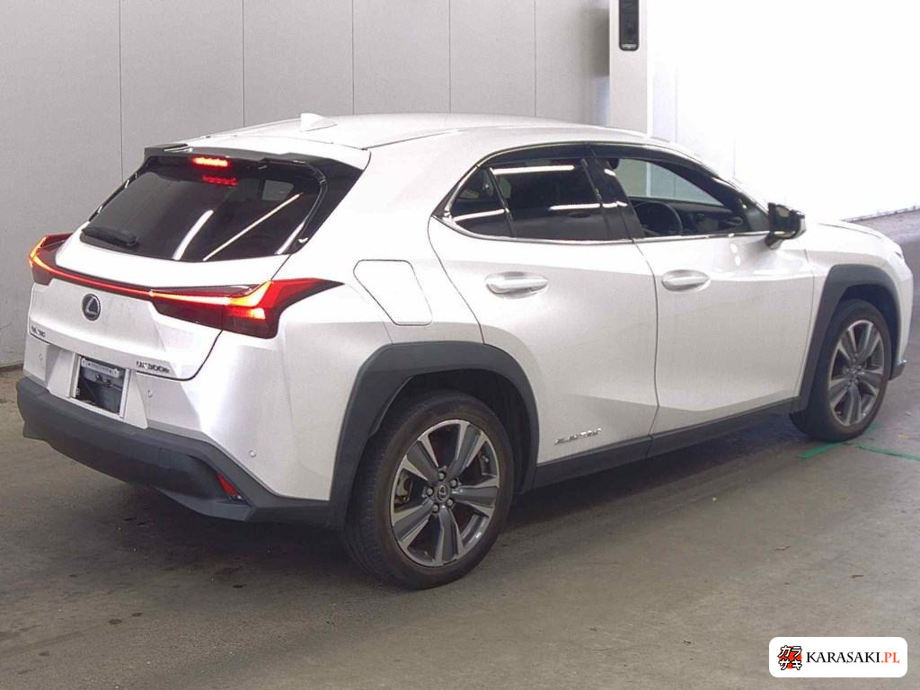 2021 Lexus UX300E Version L 4