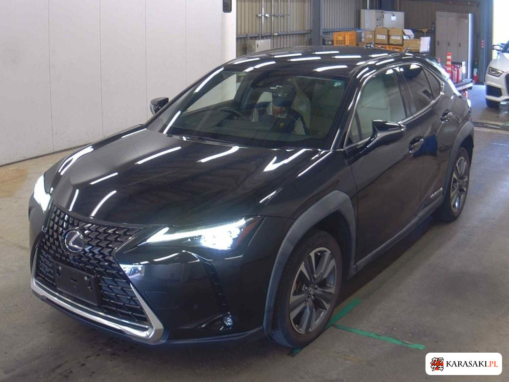 2021 Lexus UX300E Version L 3