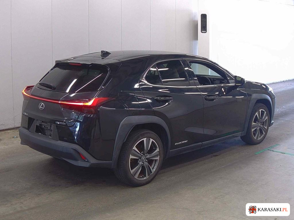 2021 Lexus UX300E Version L 4
