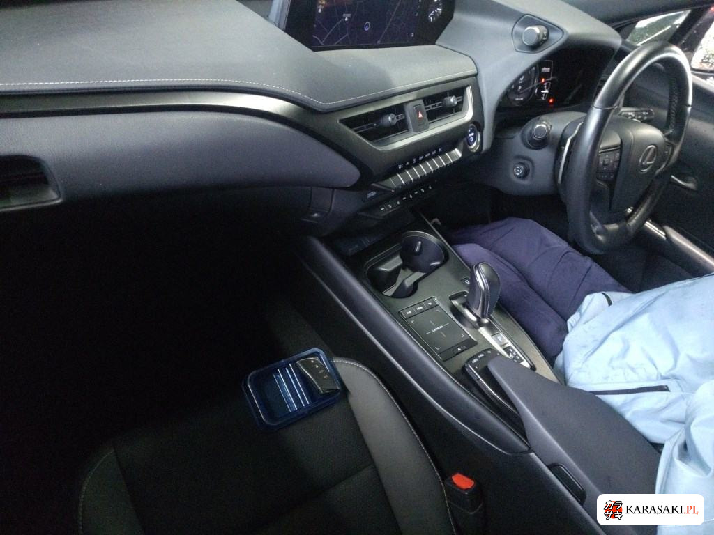 2021 Lexus UX300E Version L 5