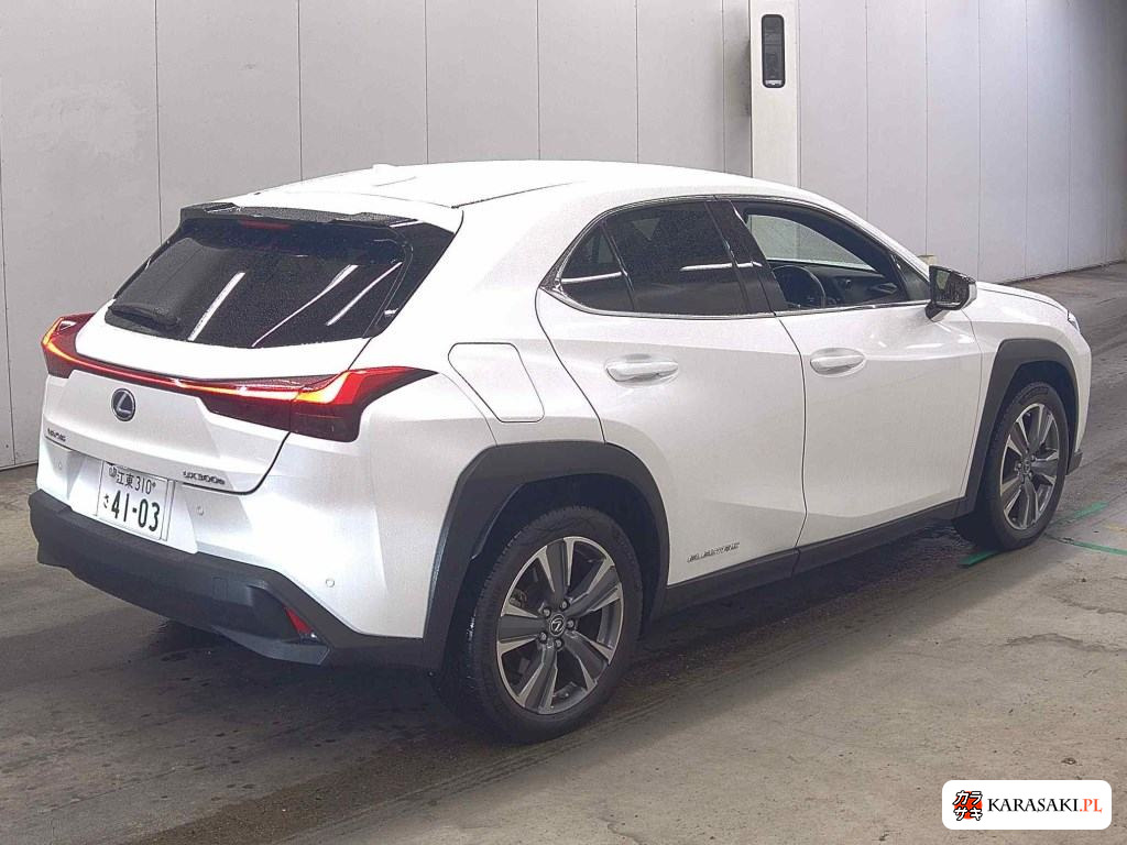 2021 Lexus UX300E Version L 4