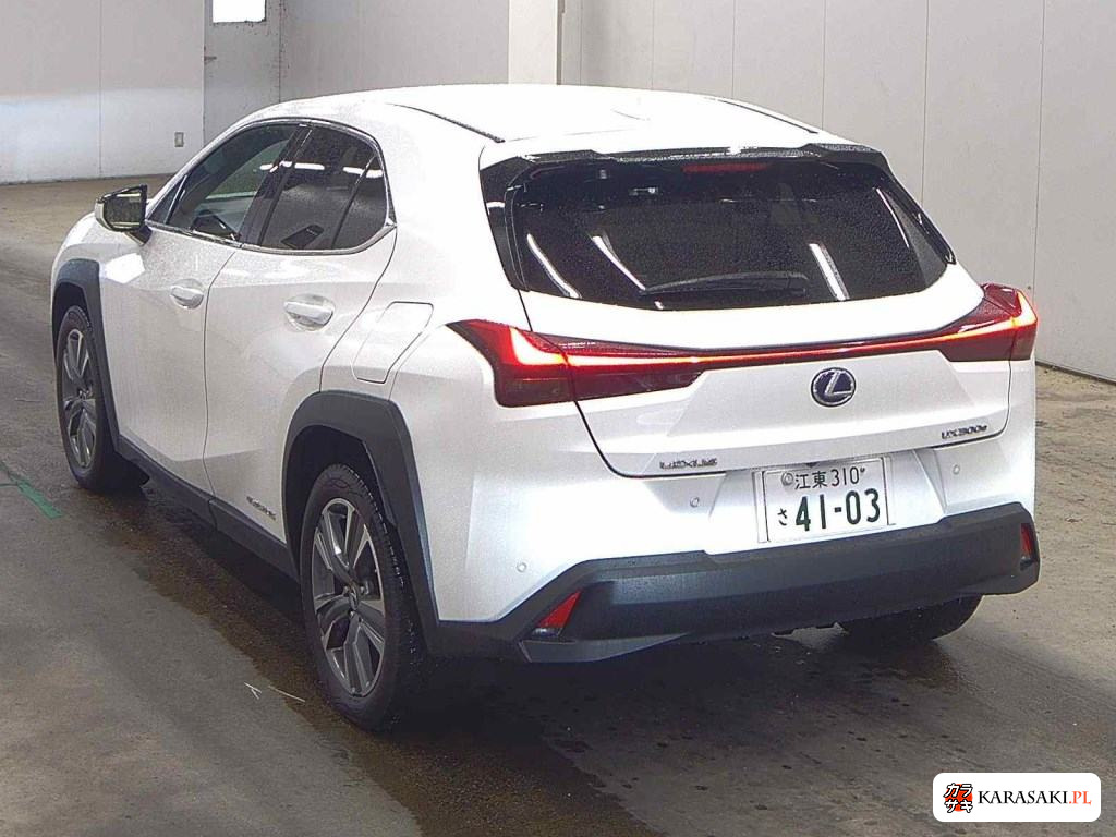 2021 Lexus UX300E Version L 2