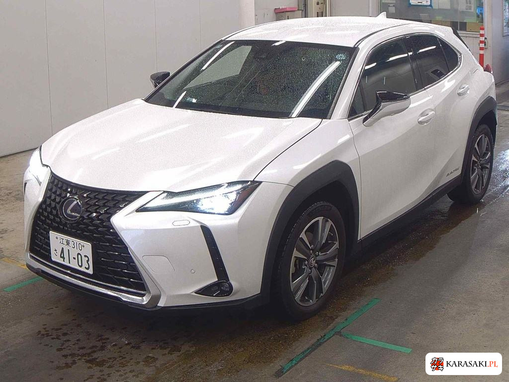 2021 Lexus UX300E Version L 3