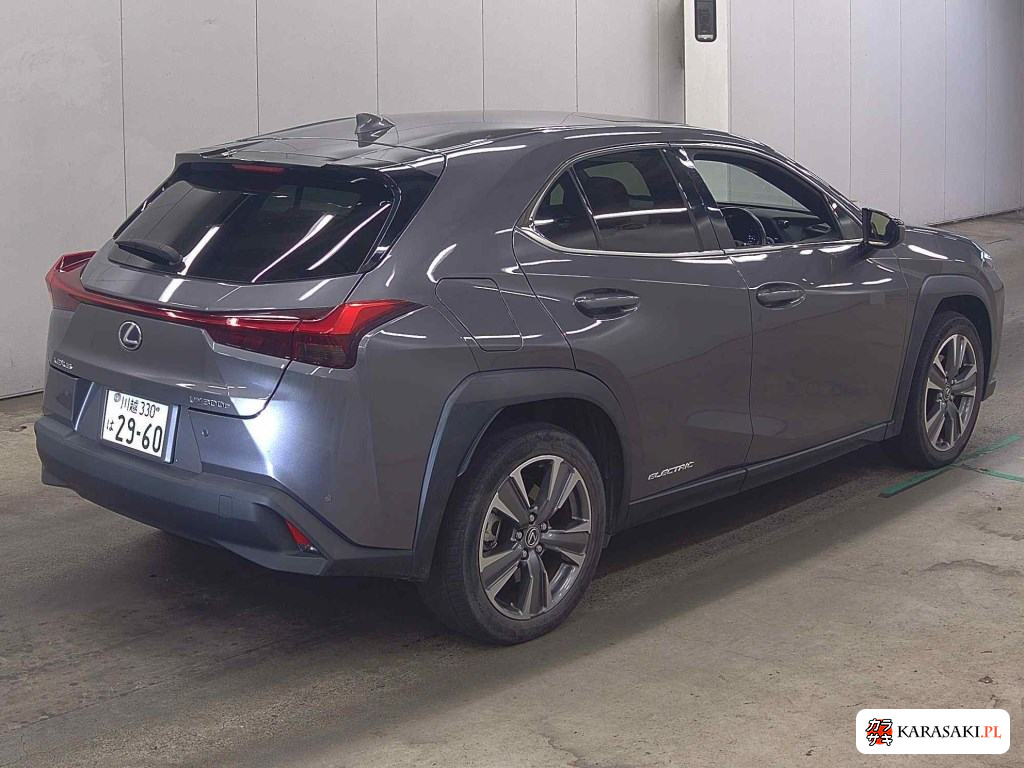 2022 Lexus UX300E Version L 4