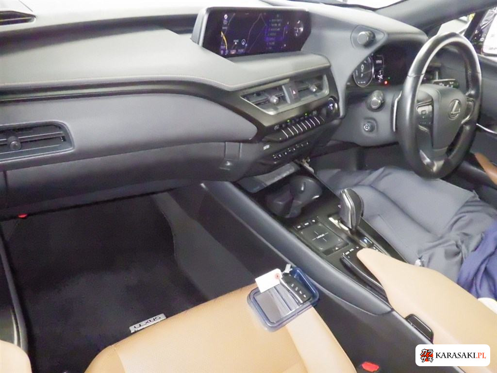 2022 Lexus UX300E Version L 5