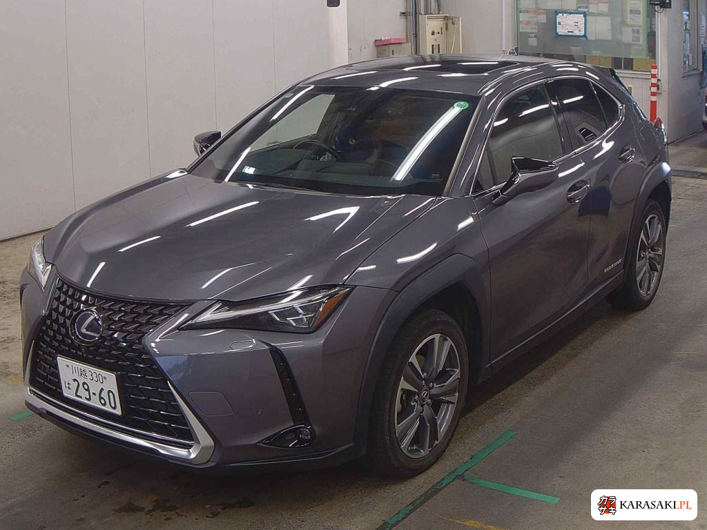 2022 Lexus UX300E Version L 3