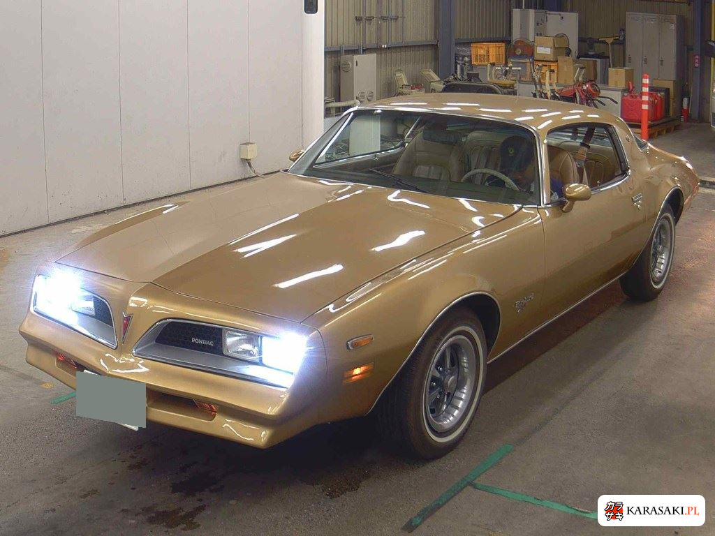 1977 Pontiac Firebird CP 3
