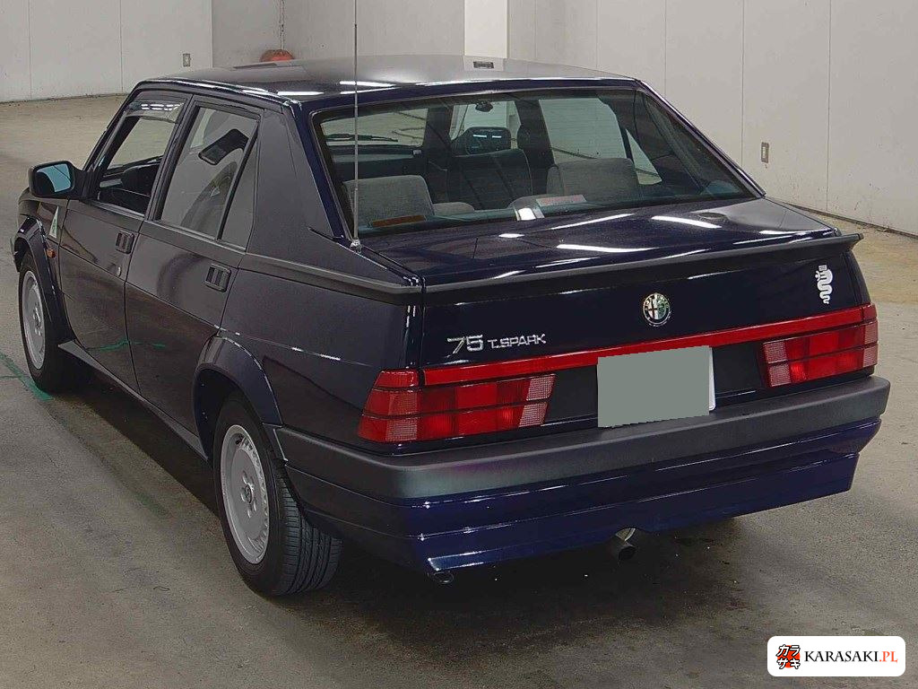 1992 Alfa Romeo 162 2