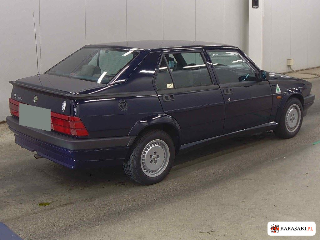 1992 Alfa Romeo 162 4