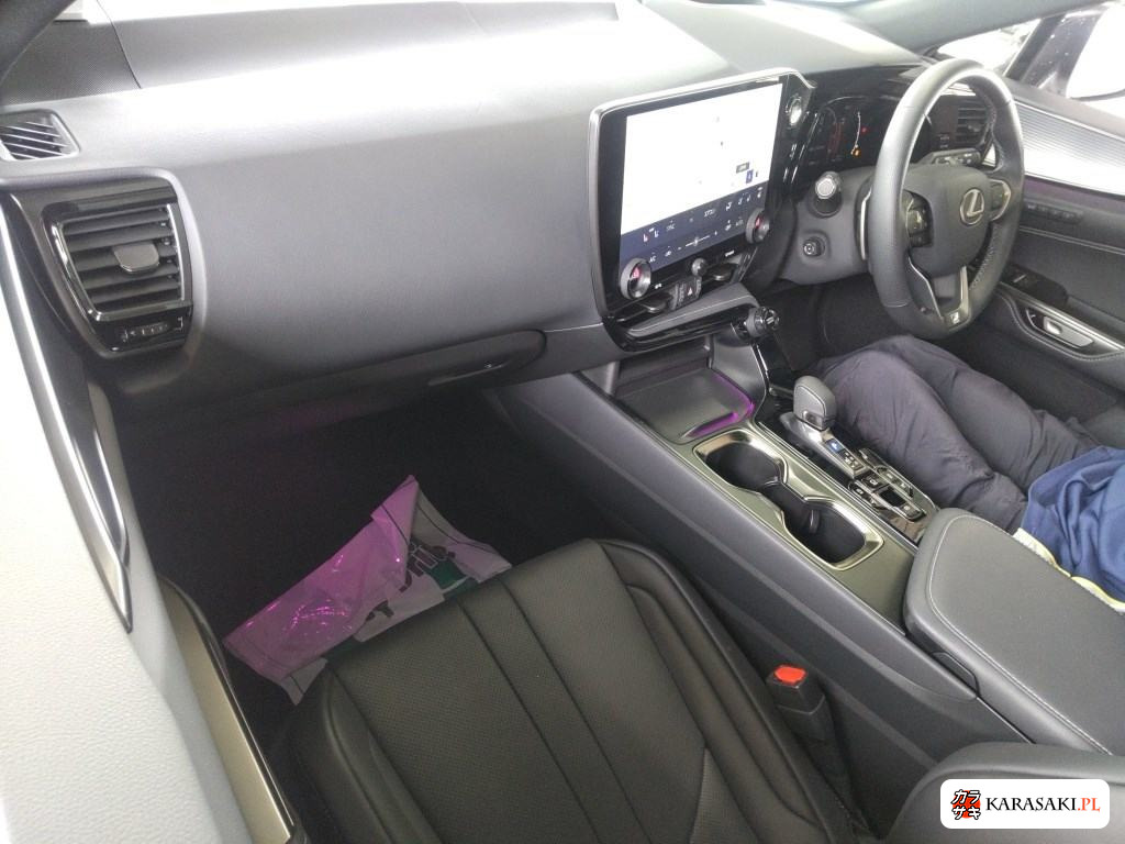 2025 Lexus NX 4WD NX350 F Sport 5