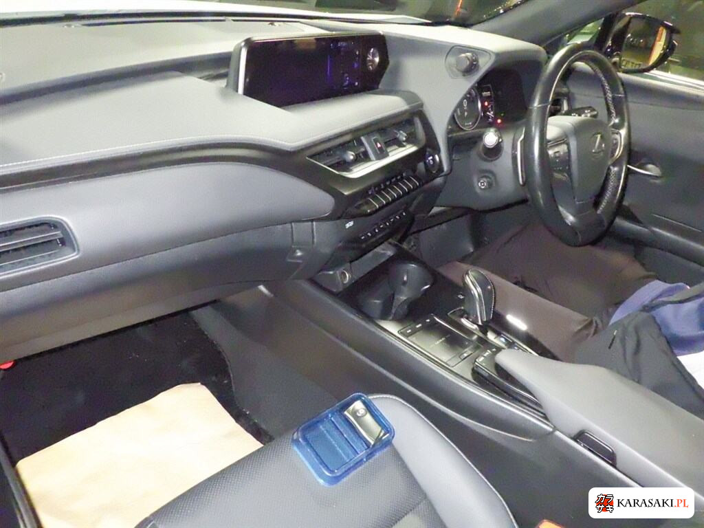 2021 Lexus UX300E Version C 5