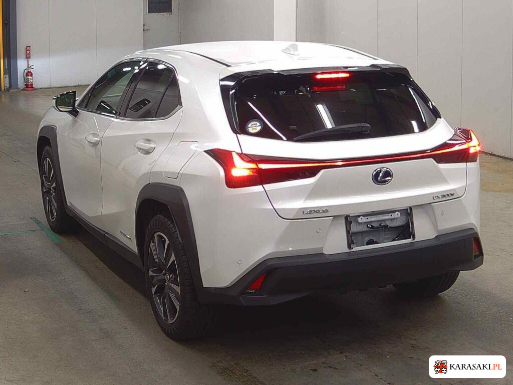 2021 Lexus UX300E Version C 2