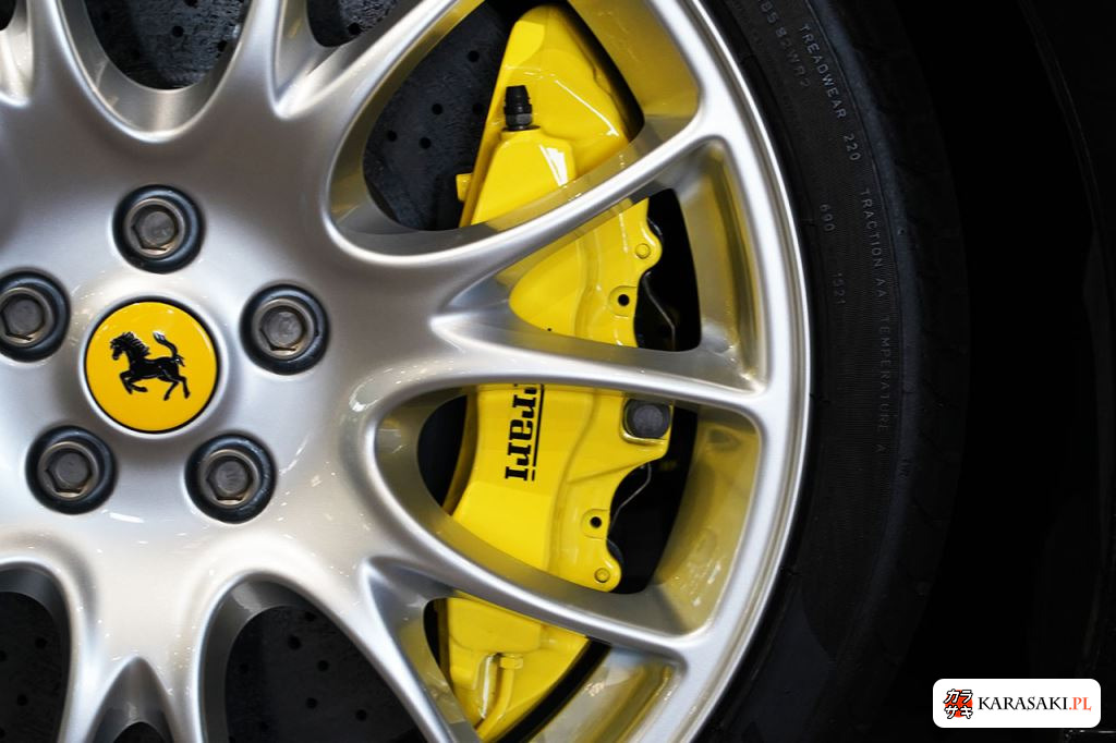 2010 Ferrari 599 F1 9