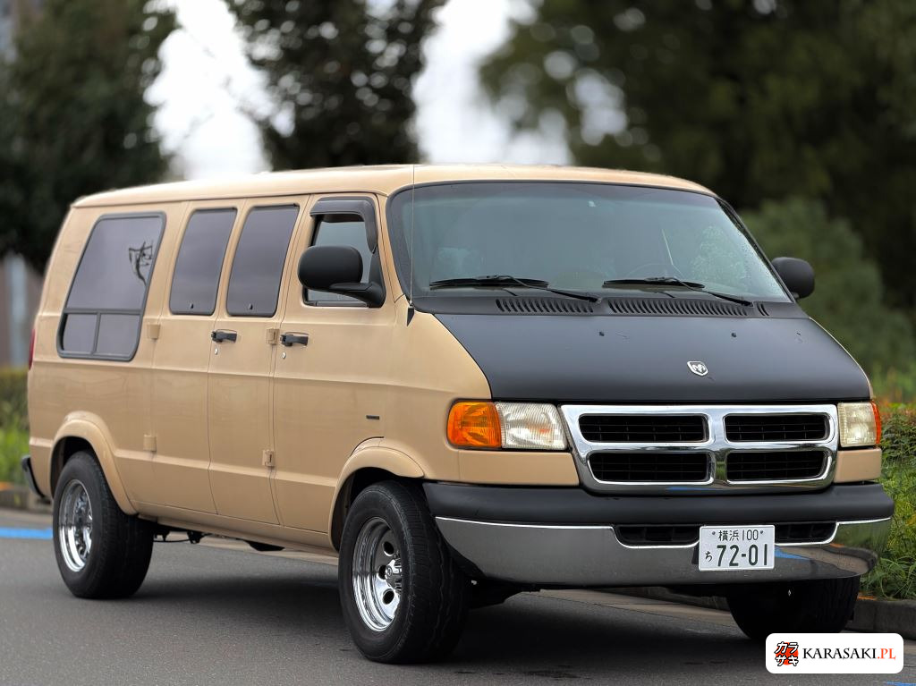 2009 Dodge FUMEI 9