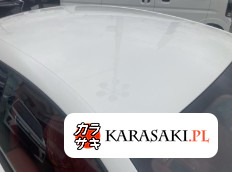 2014 Ferrari FF 4WD Base Grade 9