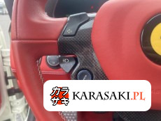 2014 Ferrari FF 4WD Base Grade 13
