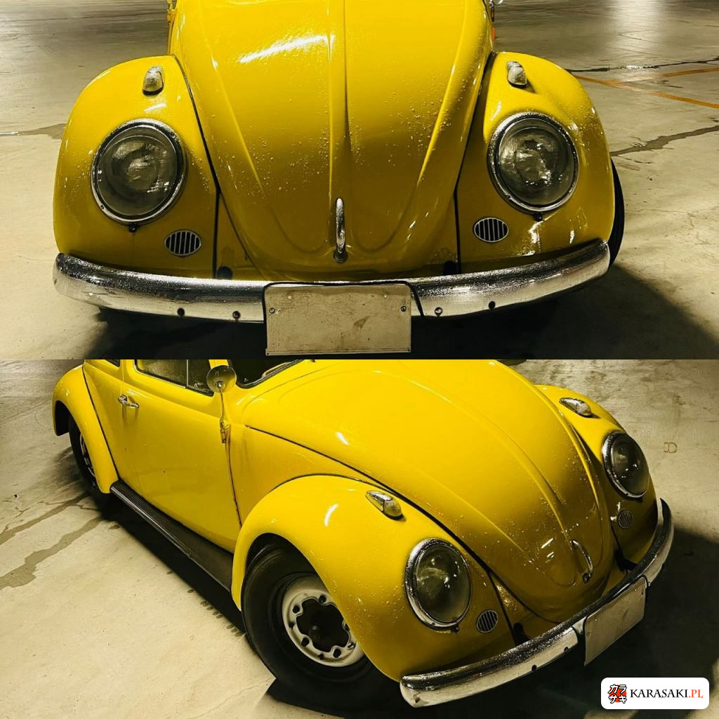 1968 Volkswagen Beetle CP 15