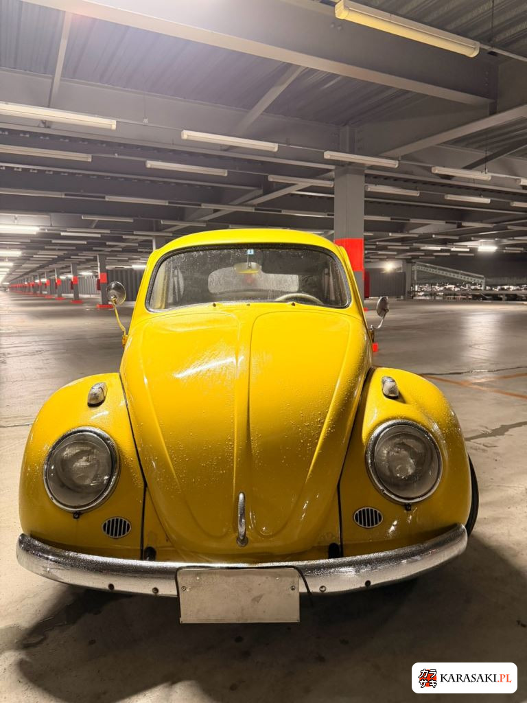 1968 Volkswagen Beetle CP 9