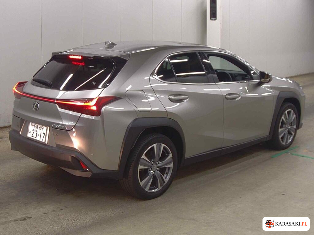 2023 Lexus UX300E Version L 4