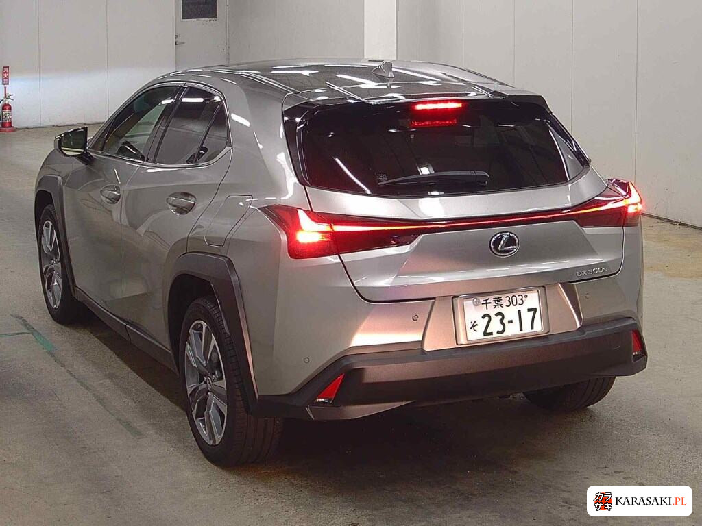 2023 Lexus UX300E Version L 2