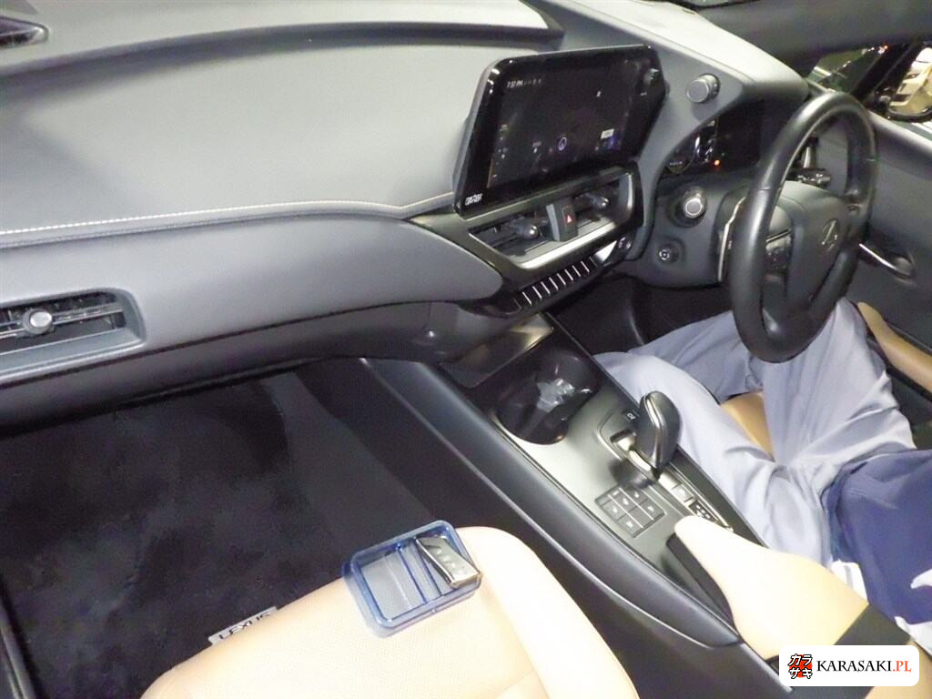 2023 Lexus UX300E Version L 5