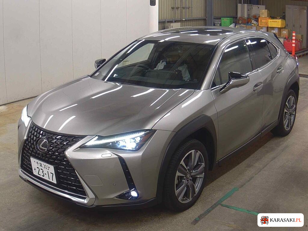 2023 Lexus UX300E Version L 3