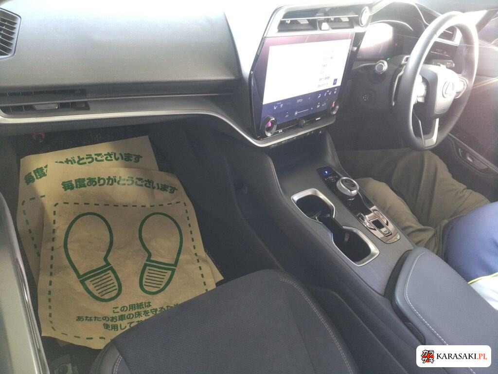2023 Lexus RZ 4WD RZ450E Version L 5