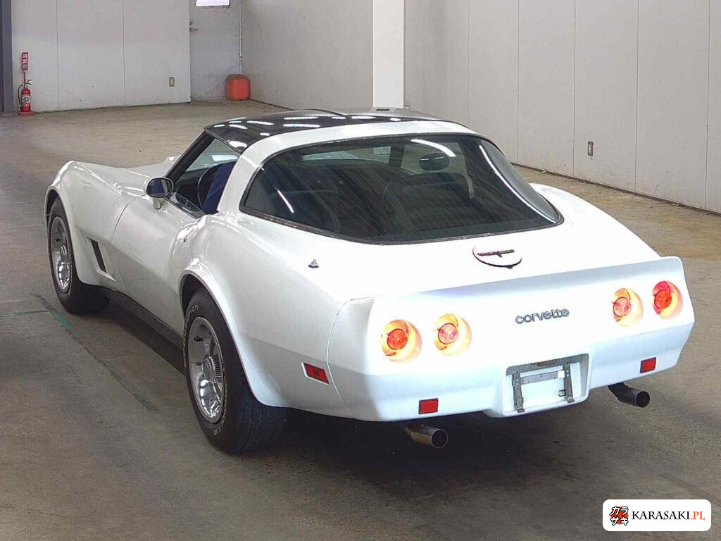 1981 Chevrolet Corvette CP 2