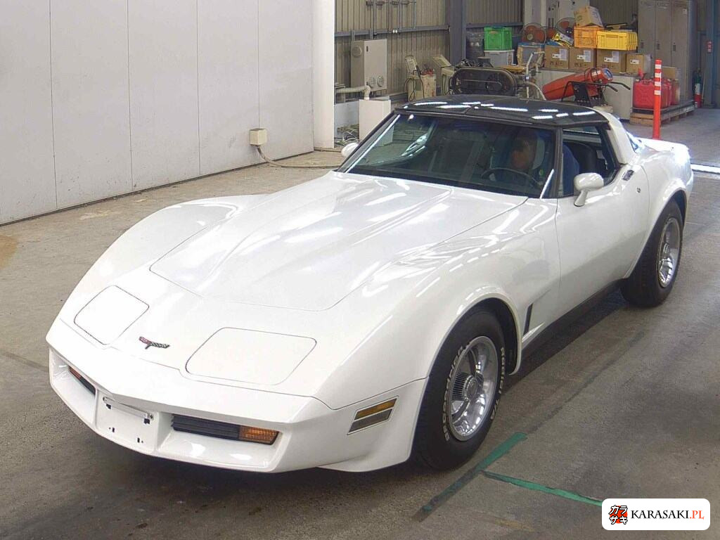 1981 Chevrolet Corvette CP 3