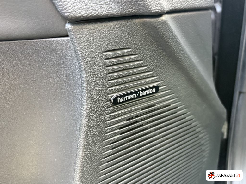 2019 Dodge Challenger CP SRT Hellcat 15