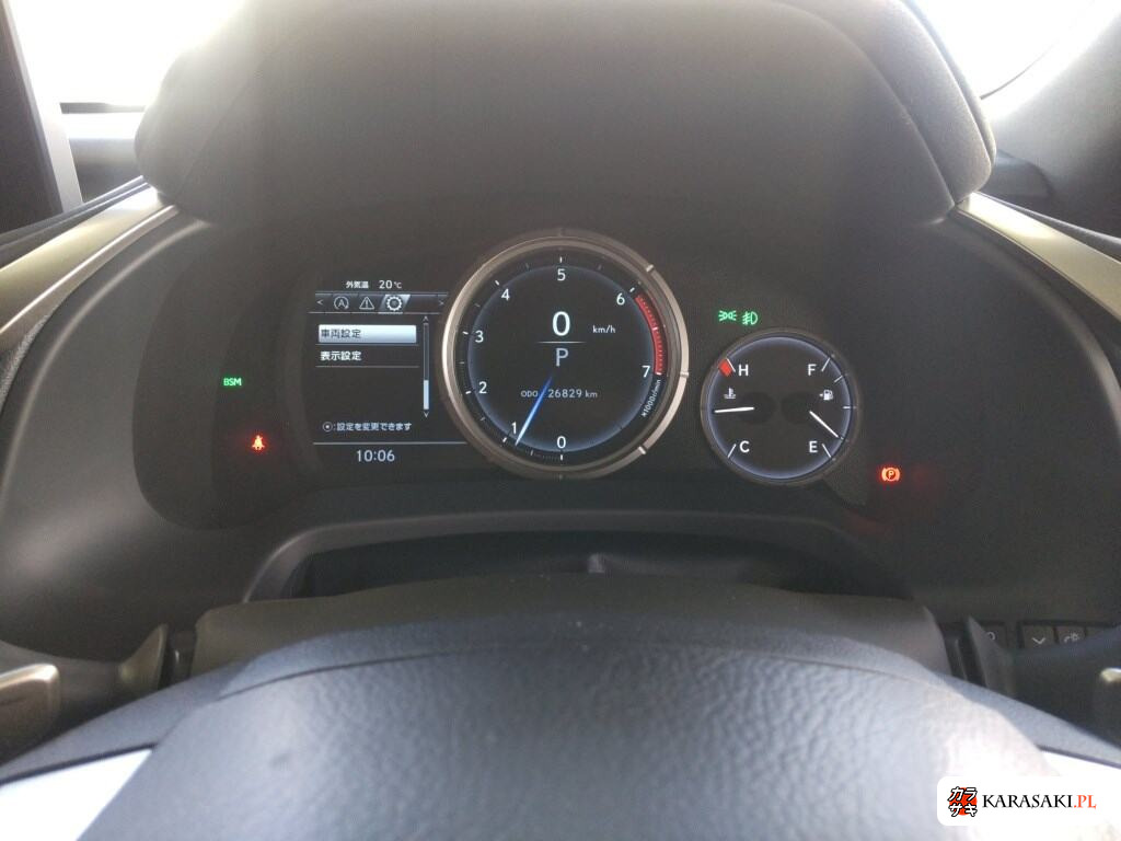 2021 Lexus RX RX300 F Sport 6