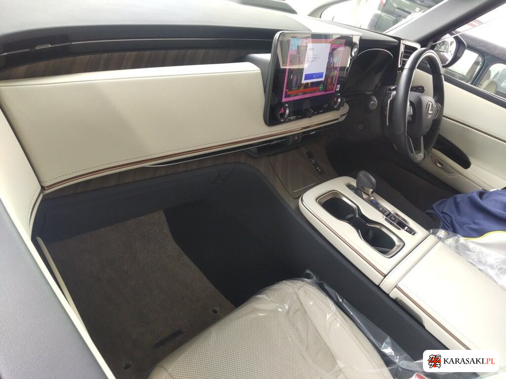 2025 Lexus LM 4WD LM500H Executive 5