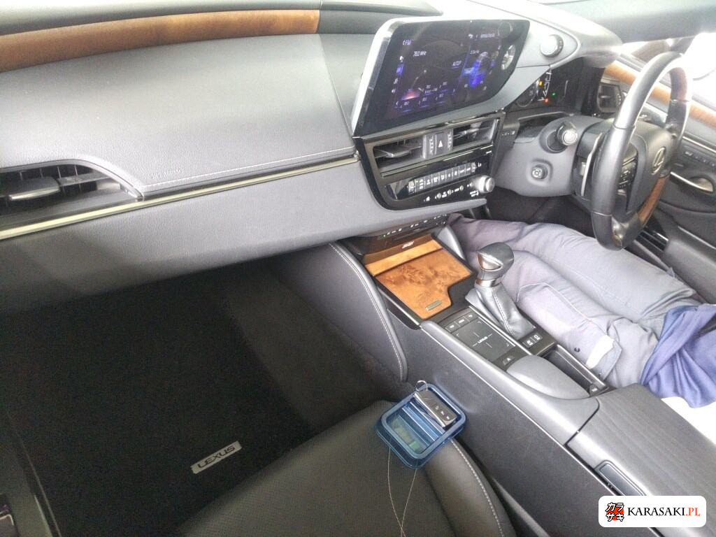 2021 Lexus Es ES300H Version L 5