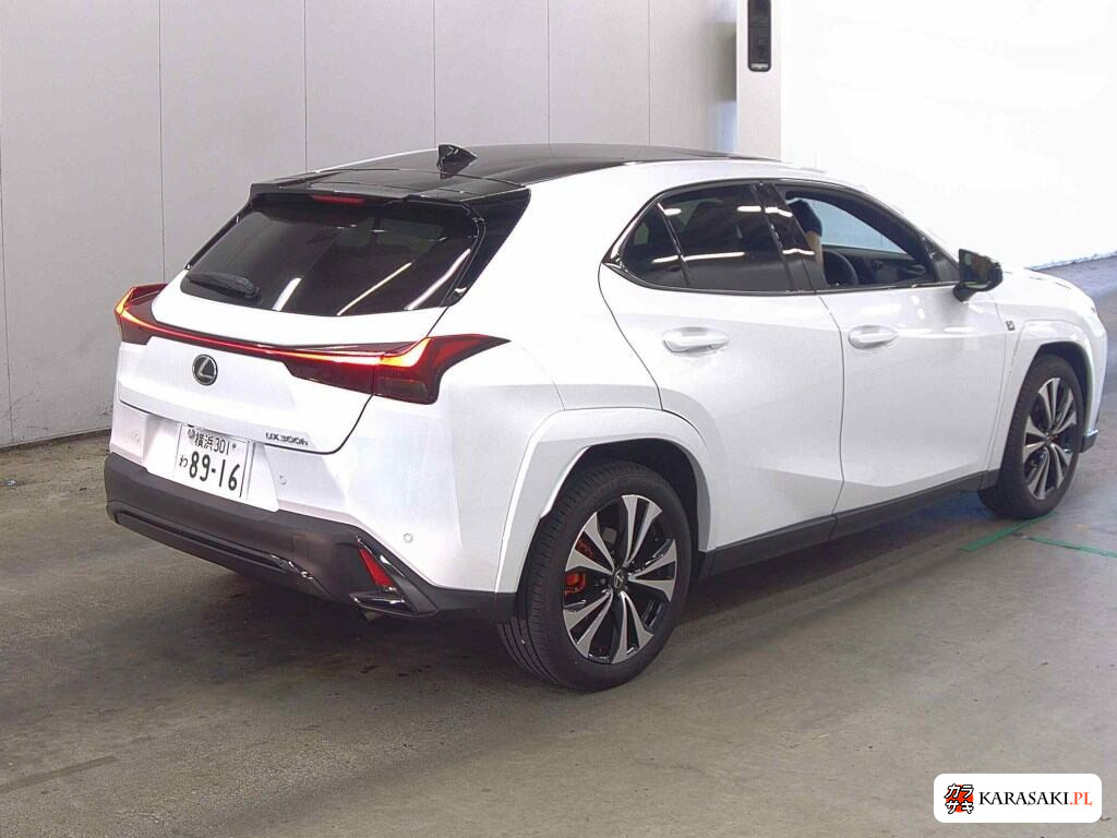 Lexus Ux 2025 z aukcji japońskiej