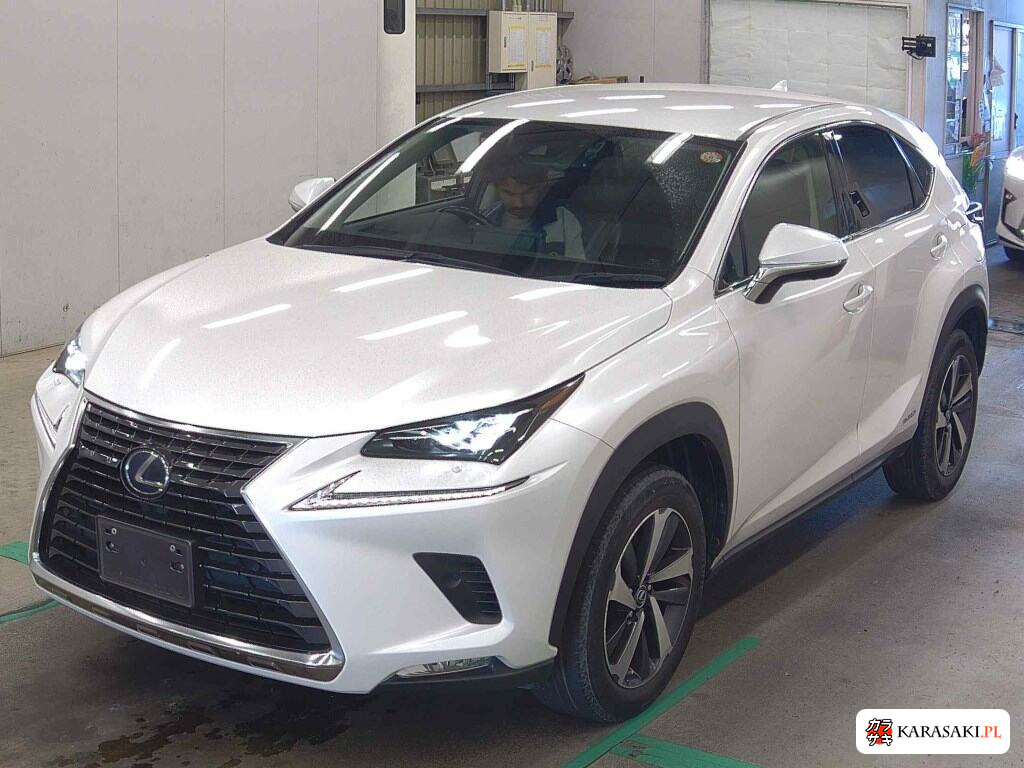 2020 Lexus NX NX300H Version L 3