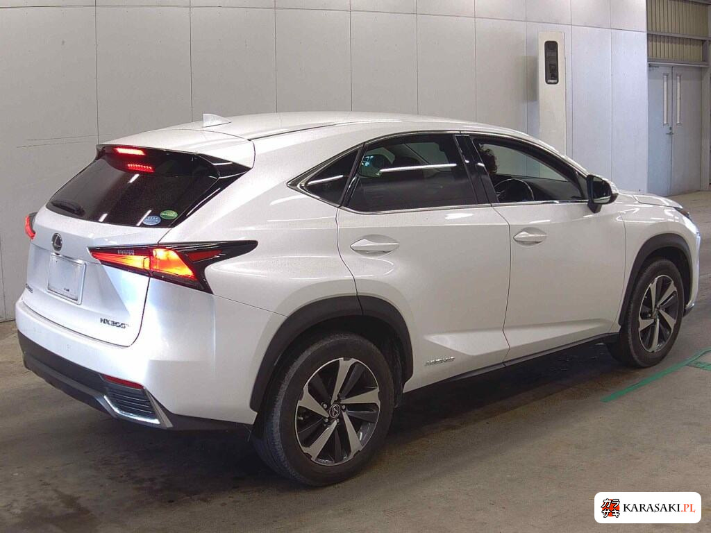 2020 Lexus NX NX300H Version L 4