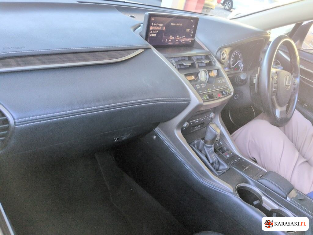 2020 Lexus NX NX300H Version L 5