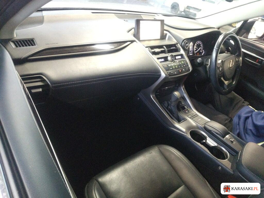 2015 Lexus NX 4WD NX300H Version L 5